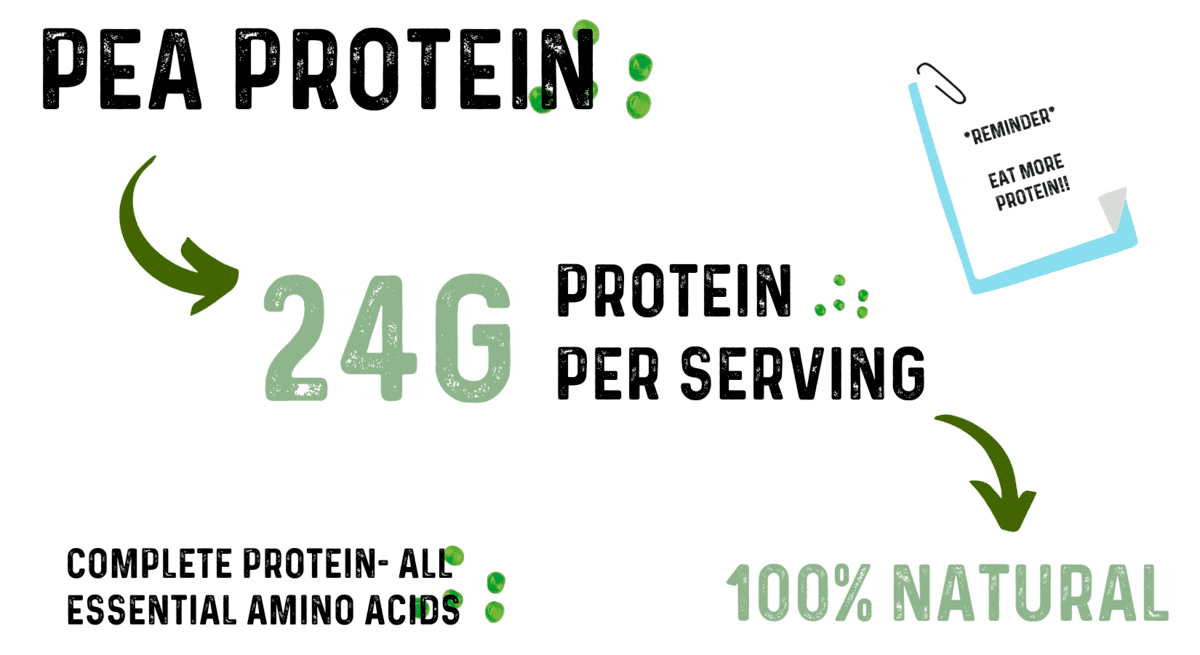 Pea Protein organic