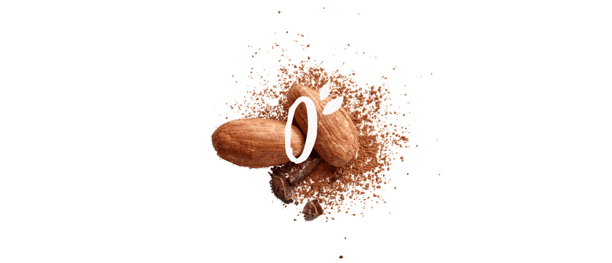 cacao proteina vegana