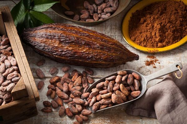 Cacao propiedades